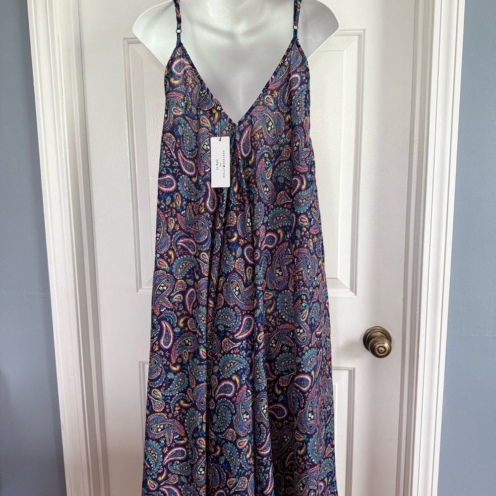 Molly Bracken Paisley Maxi Dress - Blue and Pink